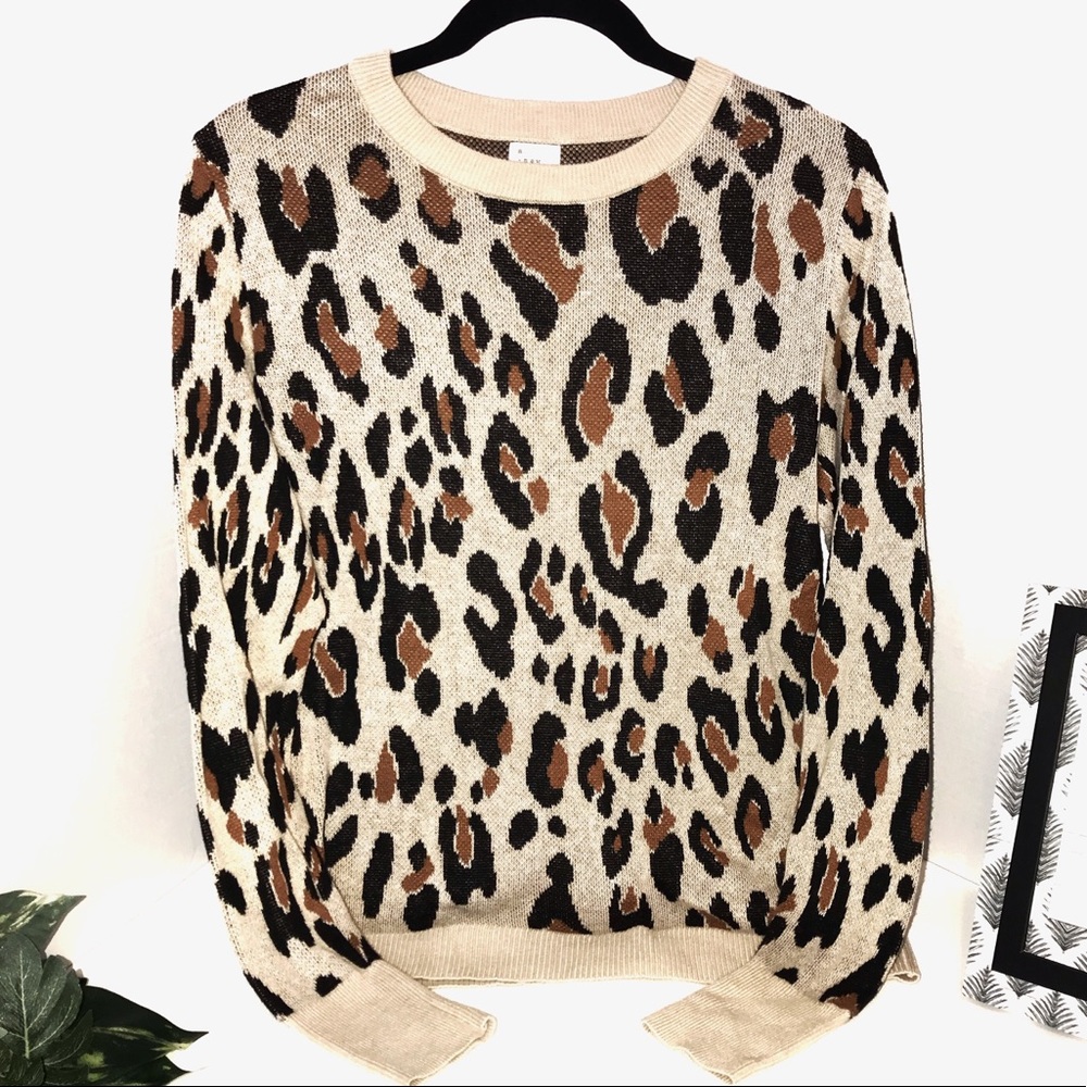 A new day cheetah sweater